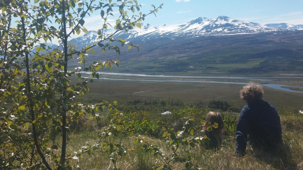 Iceland Yurt Акурейри Экстерьер фото
