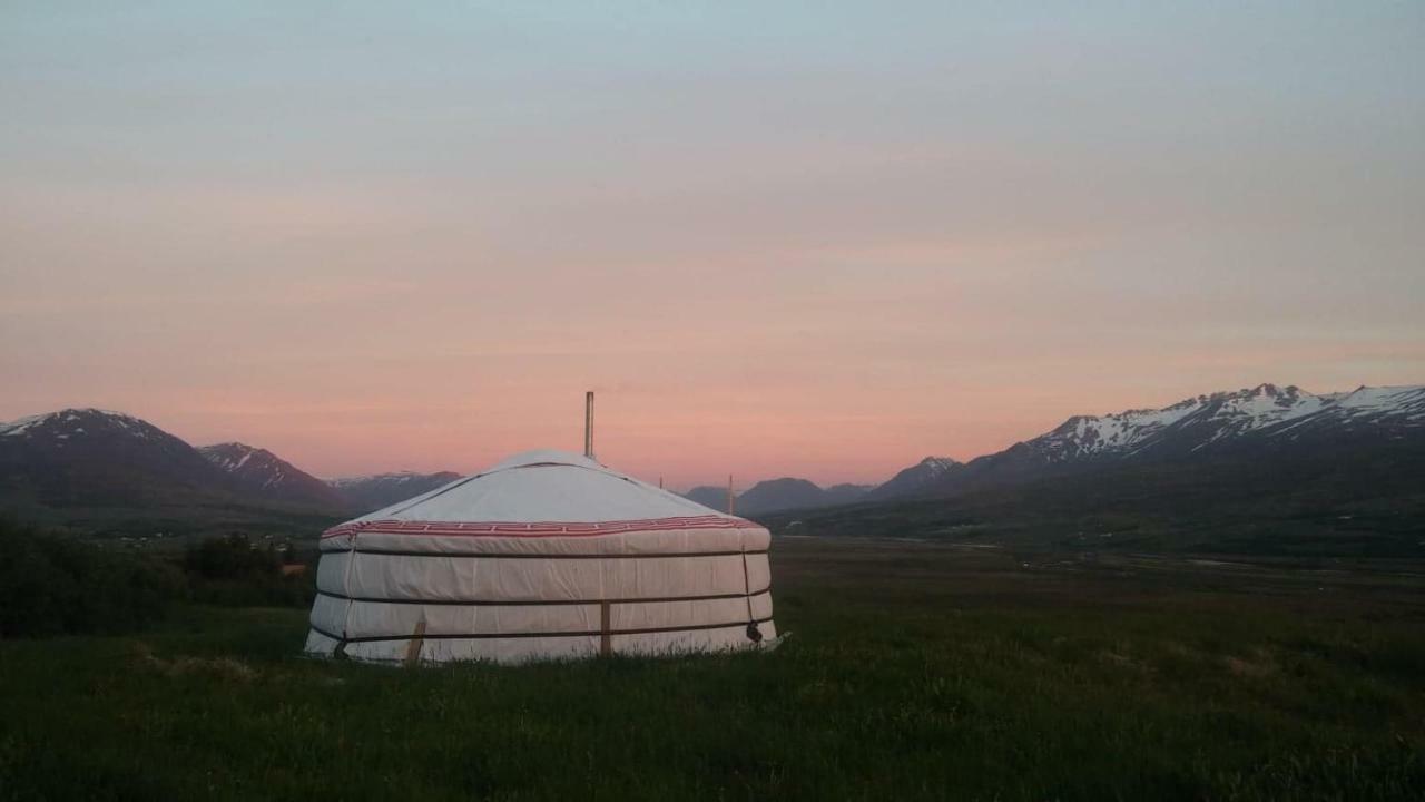 Iceland Yurt Акурейри Экстерьер фото